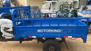 New Tricycle 2025 Blue