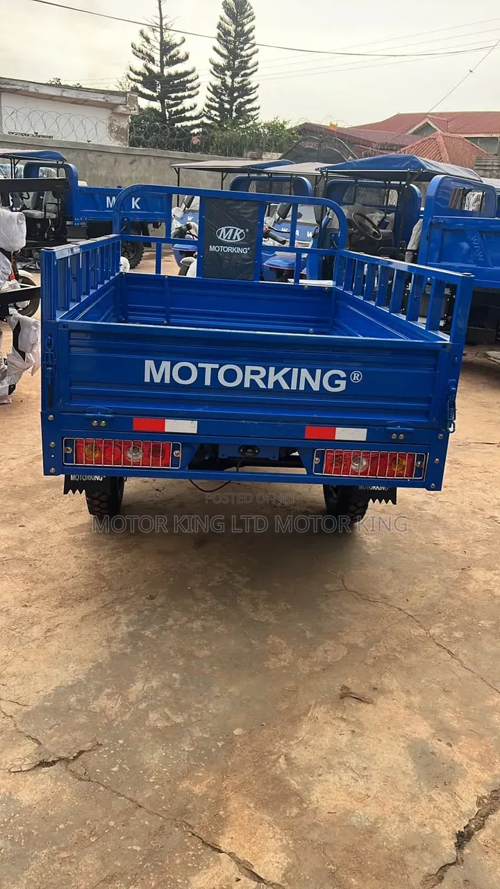 New Tricycle 2025 Blue