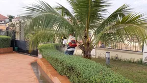 Premium Fumigation With Cleantex