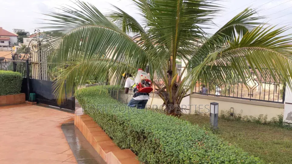 Premium Fumigation With Cleantex