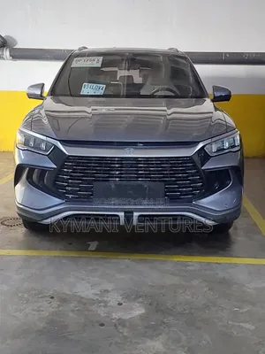 BYD Song Pro DM-i 2024 Gray