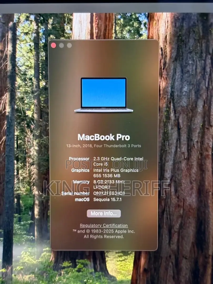 Laptop Apple MacBook Pro 2019 16GB Intel Core i5 SSD 512GB