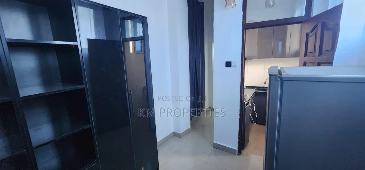 Furnished 1bdrm Apartment in Airport West, Dzorwulu for rent