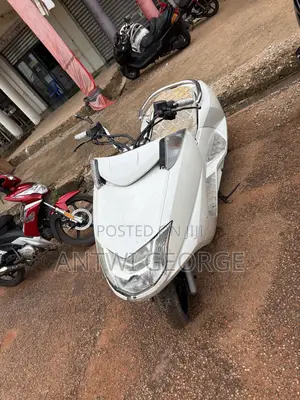 Honda 2022 White