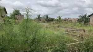 1 Plot of Land at Amasaman Akraman