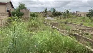 1 Plot of Land at Amasaman Akraman