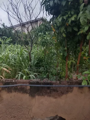 Full Plot for Sale Vivian Farm, TDC DOCUMENTS