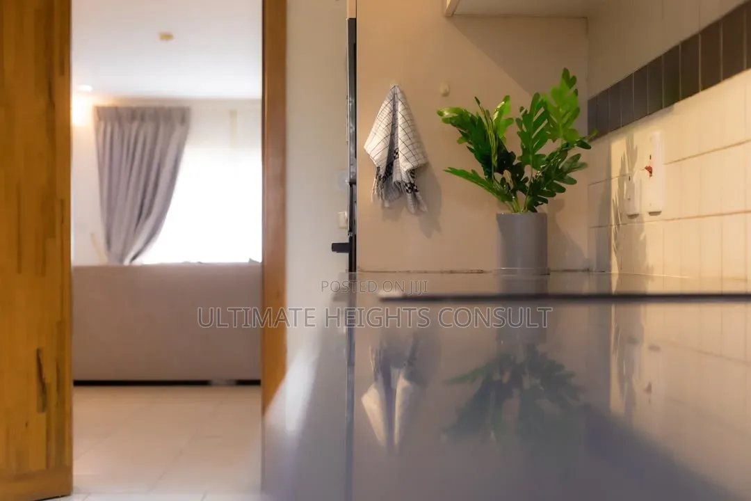Furnished 3bdrm Apartment in Airport Residential for rent