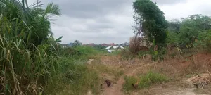 2 Plots of Land for Sale at Kwabere Sarfo Kasaam Mamponteng District