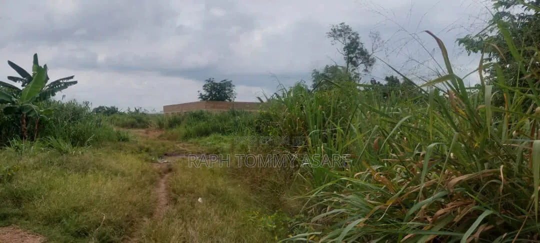 2 Plots of Land for Sale at Kwabere Sarfo Kasaam Mamponteng District
