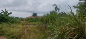 2 Plots of Land for Sale at Kwabere Sarfo Kasaam Mamponteng District