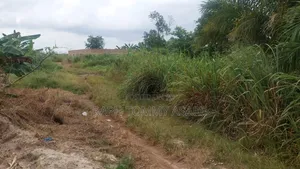 2 Plots of Land for Sale at Kwabere Sarfo Kasaam Mamponteng District