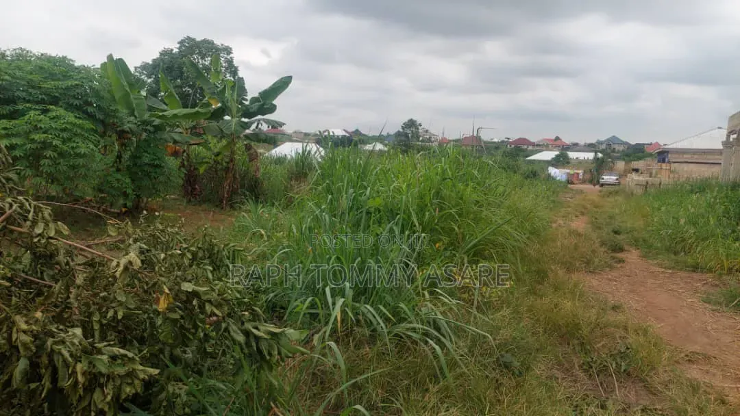 2 Plots of Land for Sale at Kwabere Sarfo Kasaam Mamponteng District