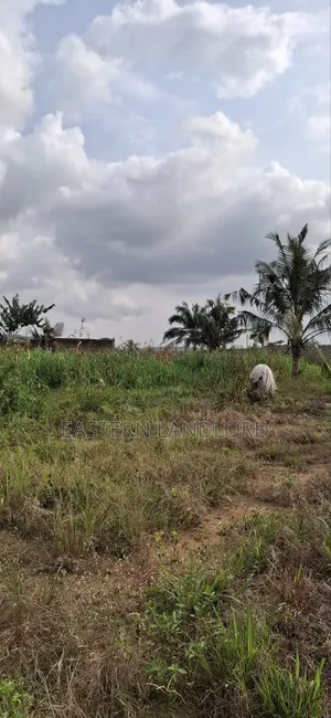 Residential Serviced Land for Sale Near Nsawam Senior High School