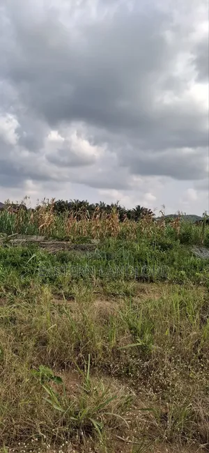 Residential Serviced Land for Sale Near Nsawam Senior High School