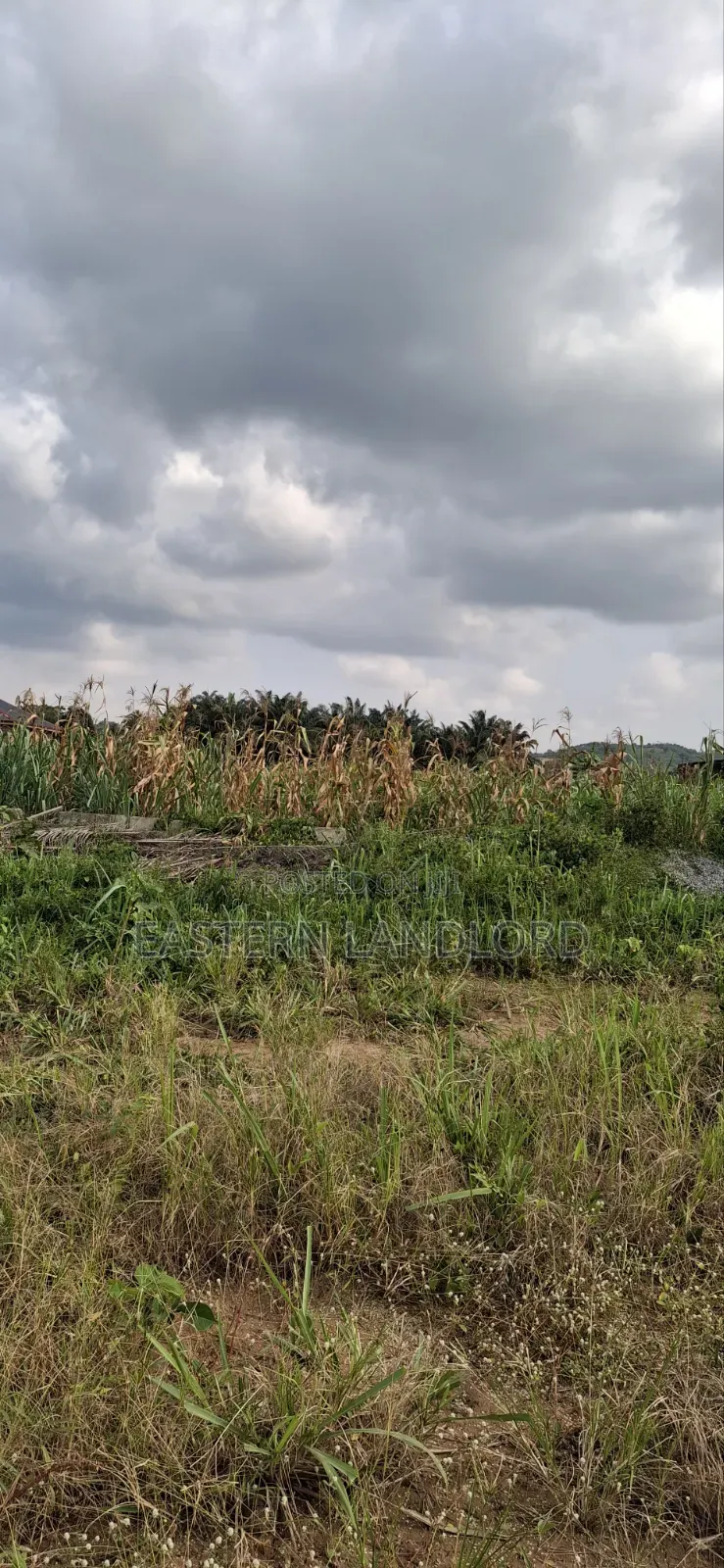Residential Serviced Land for Sale Near Nsawam Senior High School