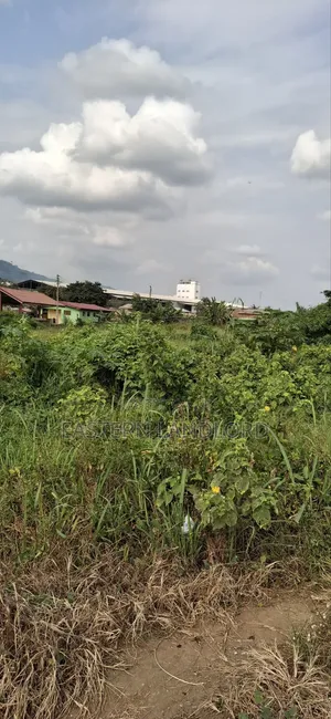 Residential Serviced Land for Sale Near Nsawam Senior High School