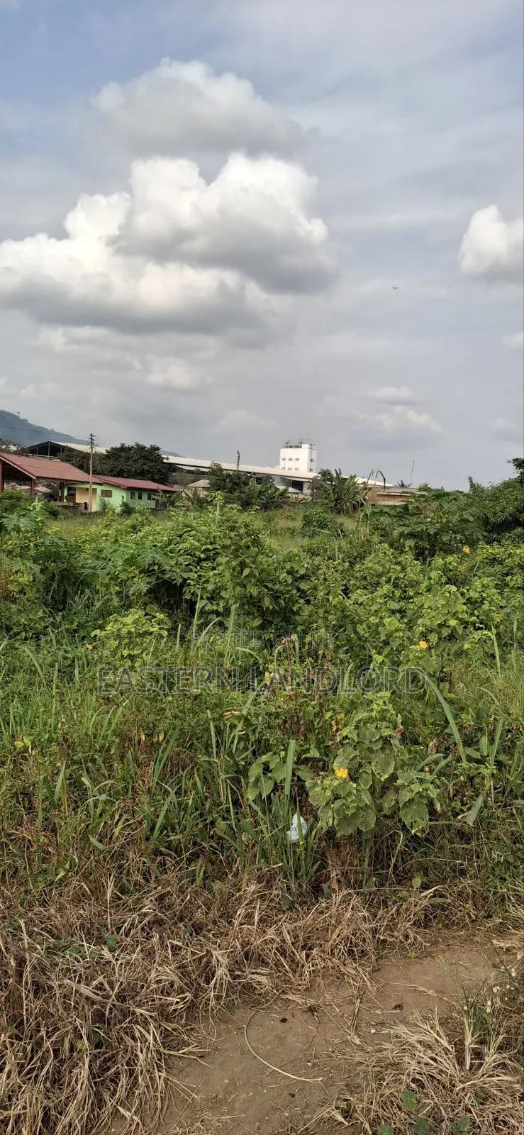 Residential Serviced Land for Sale Near Nsawam Senior High School