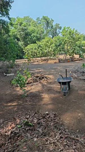Land for Sale Near Aburi-Adonten Senior High School