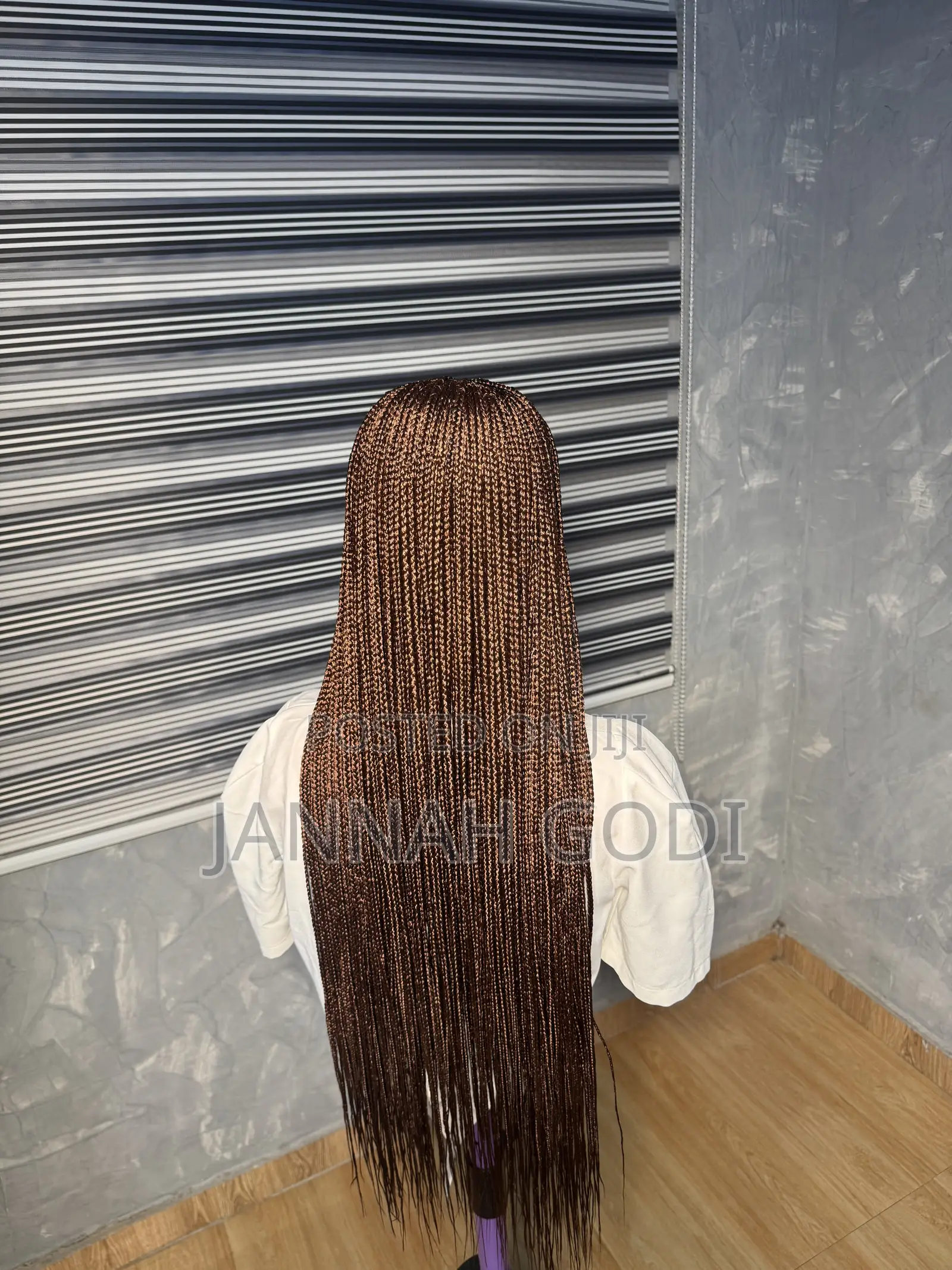 Braided Wig