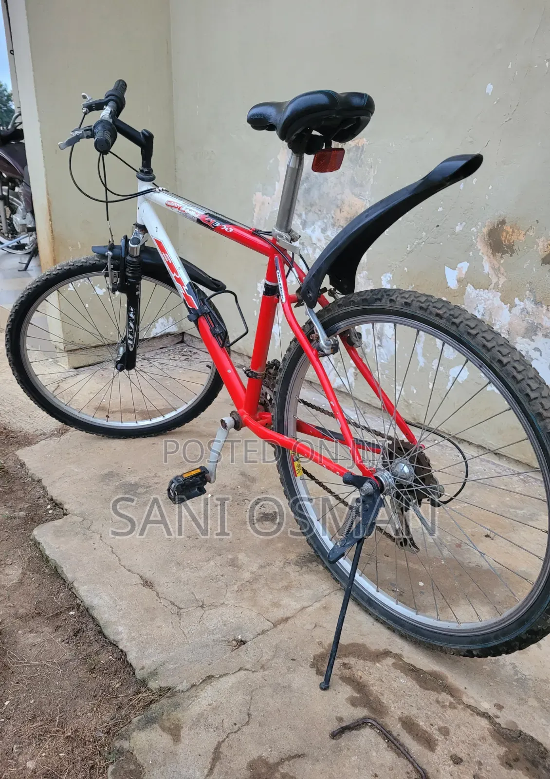Adult Bicycle