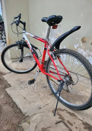 Adult Bicycle