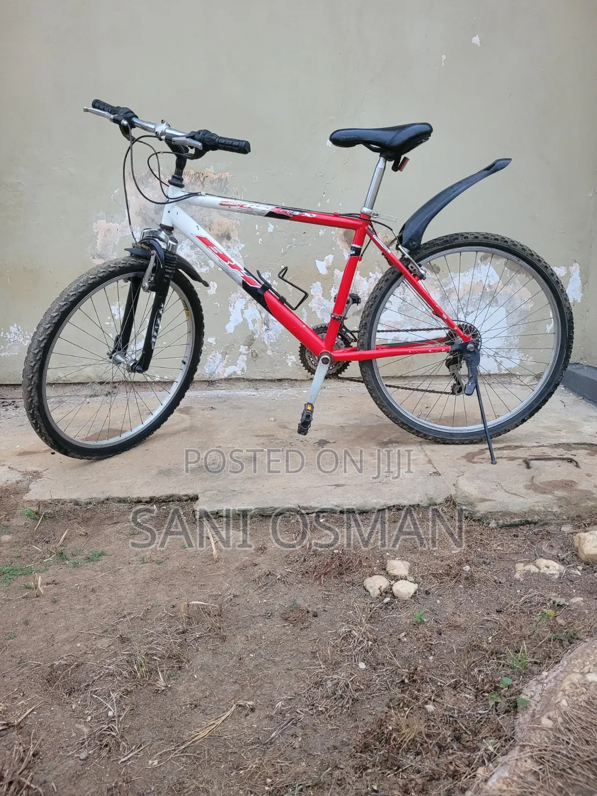 Adult Bicycle