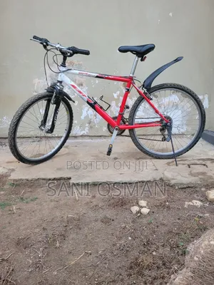 Adult Bicycle
