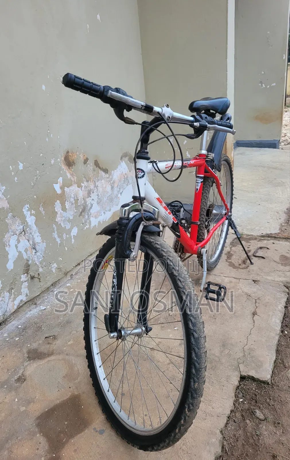 Adult Bicycle