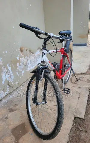 Adult Bicycle
