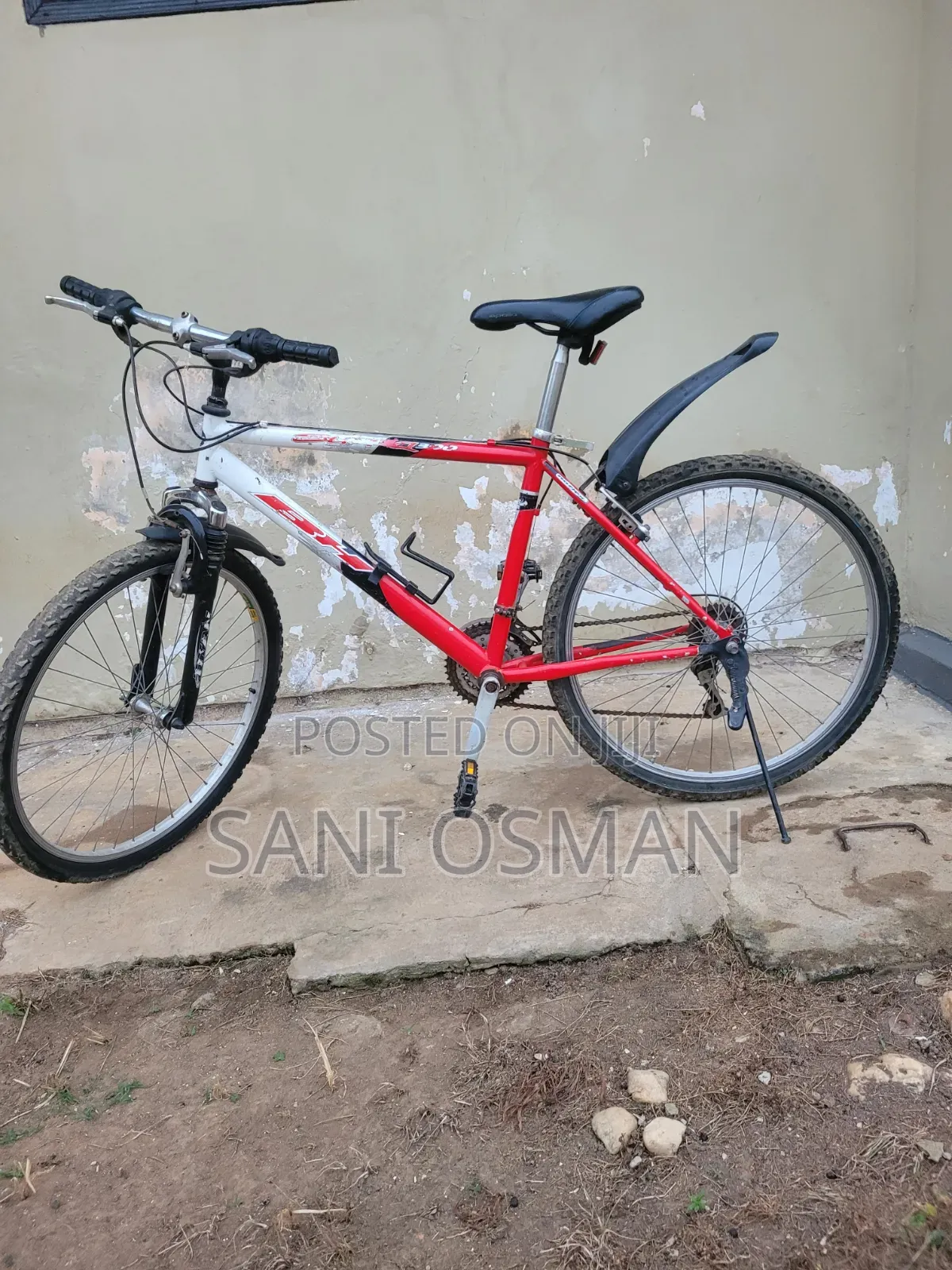 Adult Bicycle