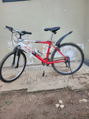 Adult Bicycle