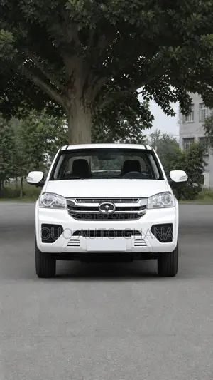 Great Wall Wingle 2025 White