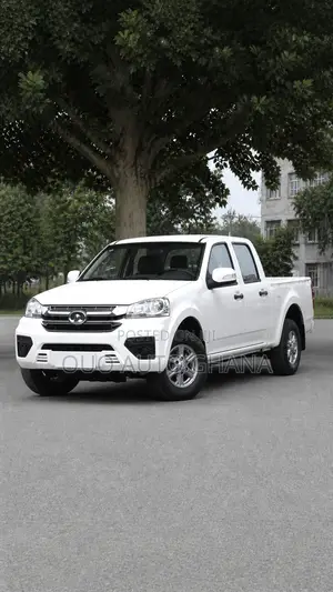 Great Wall Wingle 2025 White