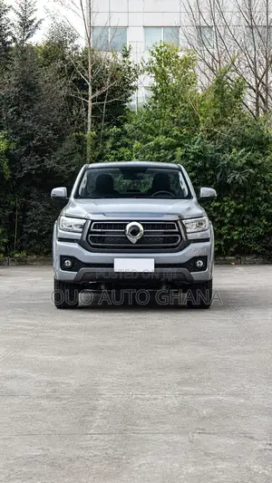 Great Wall Pao 2025 Gray