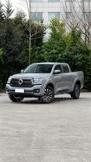 Great Wall Pao 2025 Gray