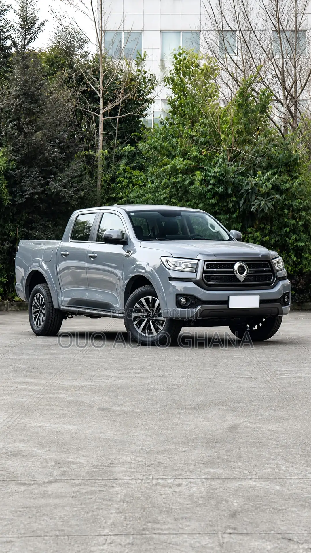 Great Wall Pao 2025 Gray