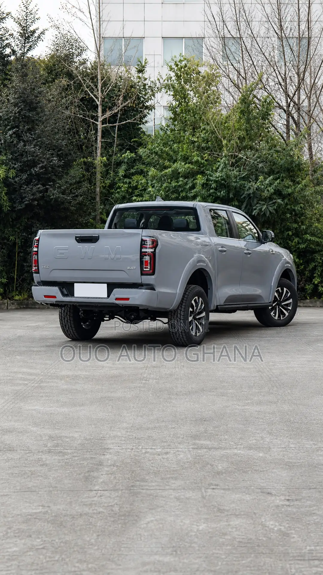 Great Wall Pao 2025 Gray