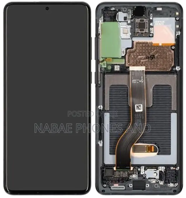 Samsung Galaxy S24 Ultra to All Sorts of S24 Screen Series