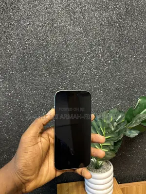 Apple iPhone 15 Pro Max 256 GB Silver