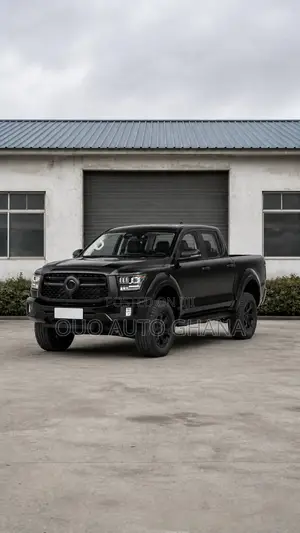 Great Wall Pao 2025 Black