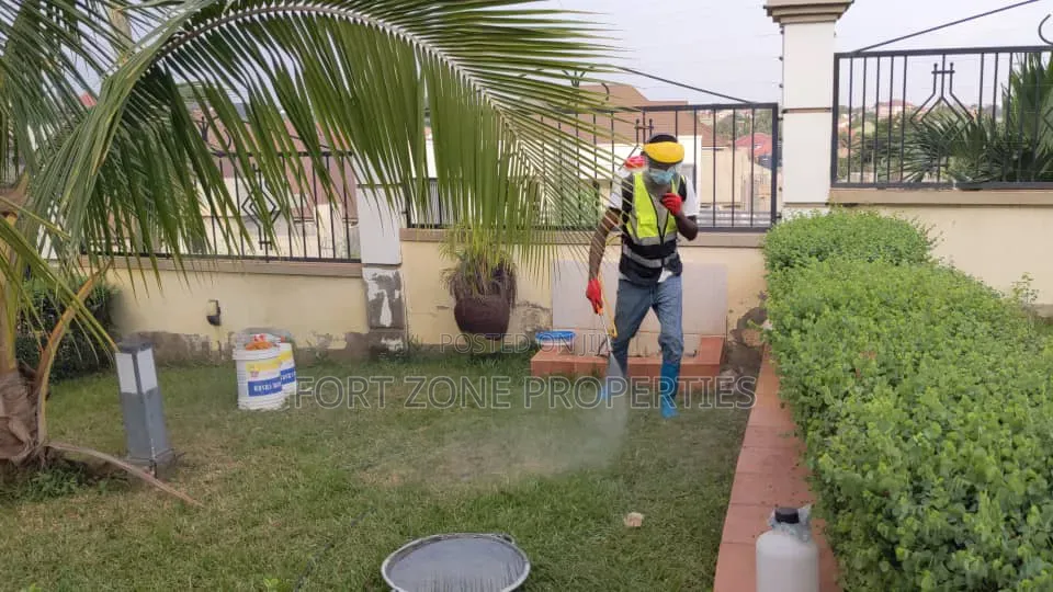 Fungicides Fumigation With Cleantex