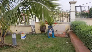 Fungicides Fumigation With Cleantex