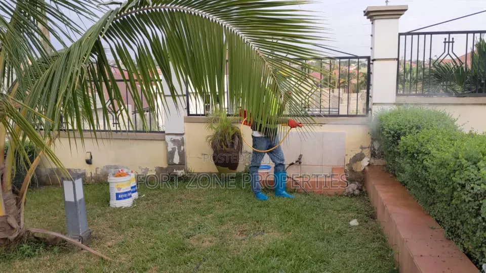 Fungicides Fumigation With Cleantex