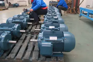 Vibrator Motor