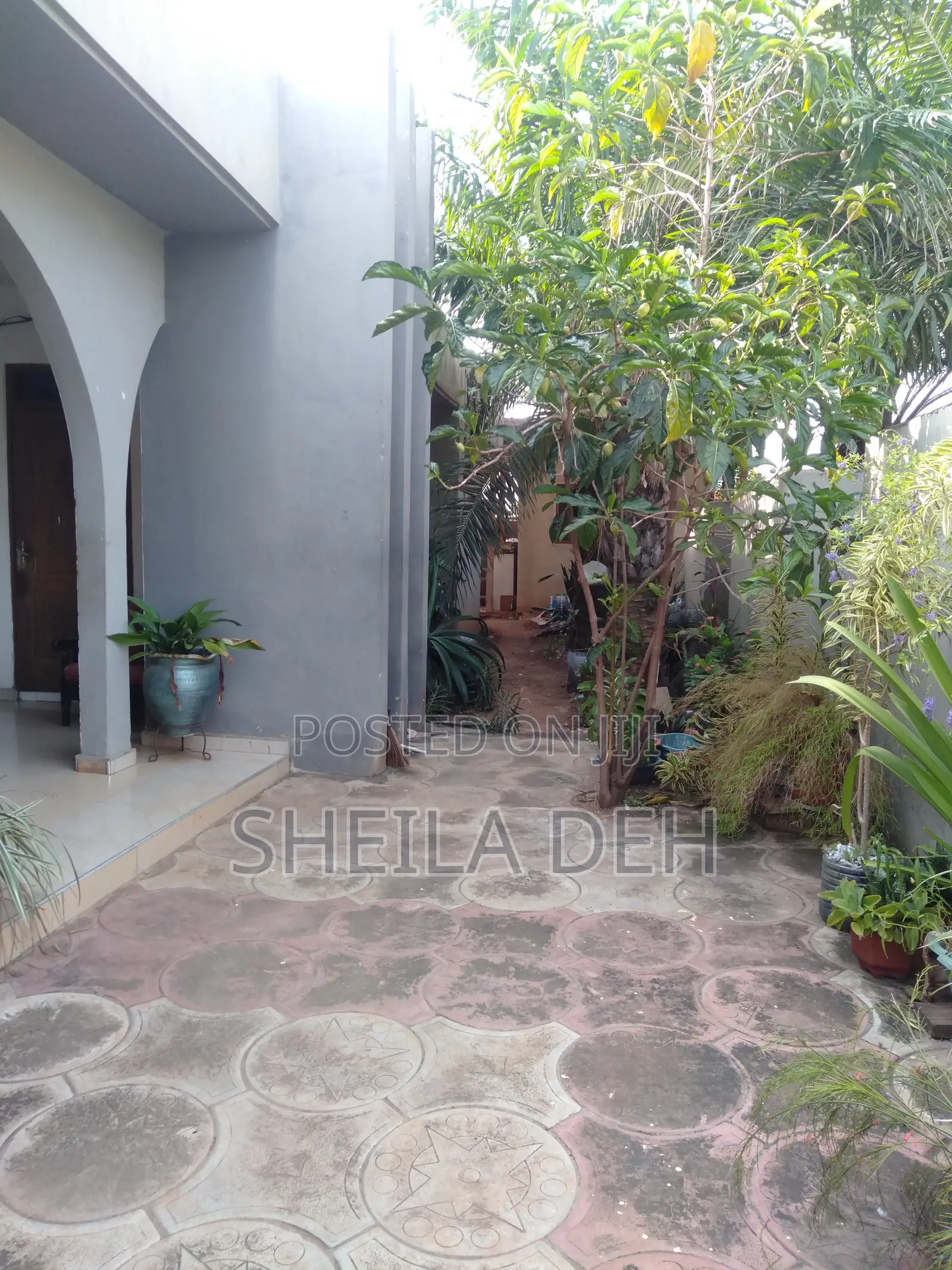 1bdrm Apartment in New Town for rent