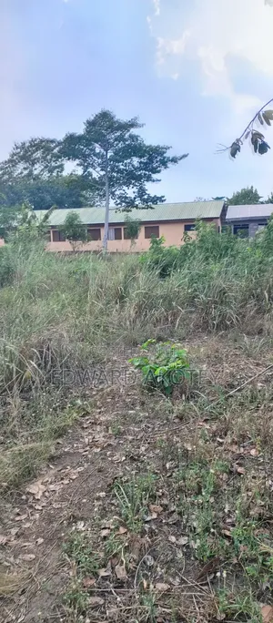 Two Plots of Registered Land for Sale