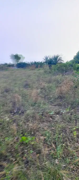 Two Plots of Registered Land for Sale