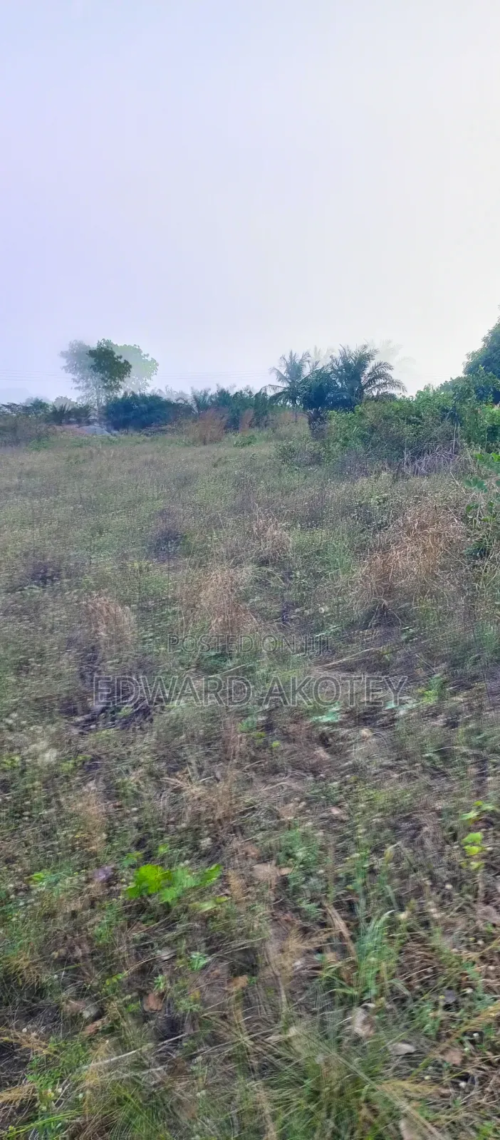 Two Plots of Registered Land for Sale