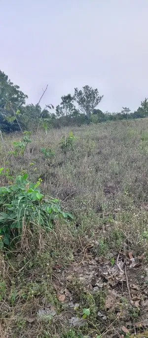 Two Plots of Registered Land for Sale